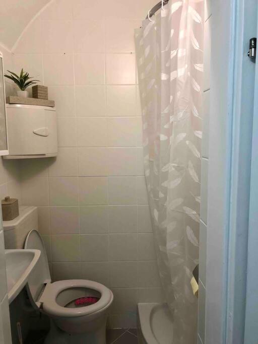 Milena Apartment Graz Extérieur photo