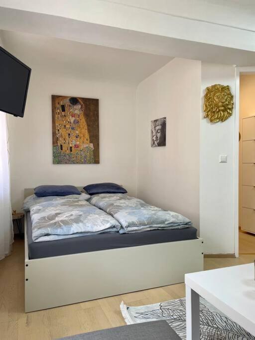 Milena Apartment Graz Extérieur photo